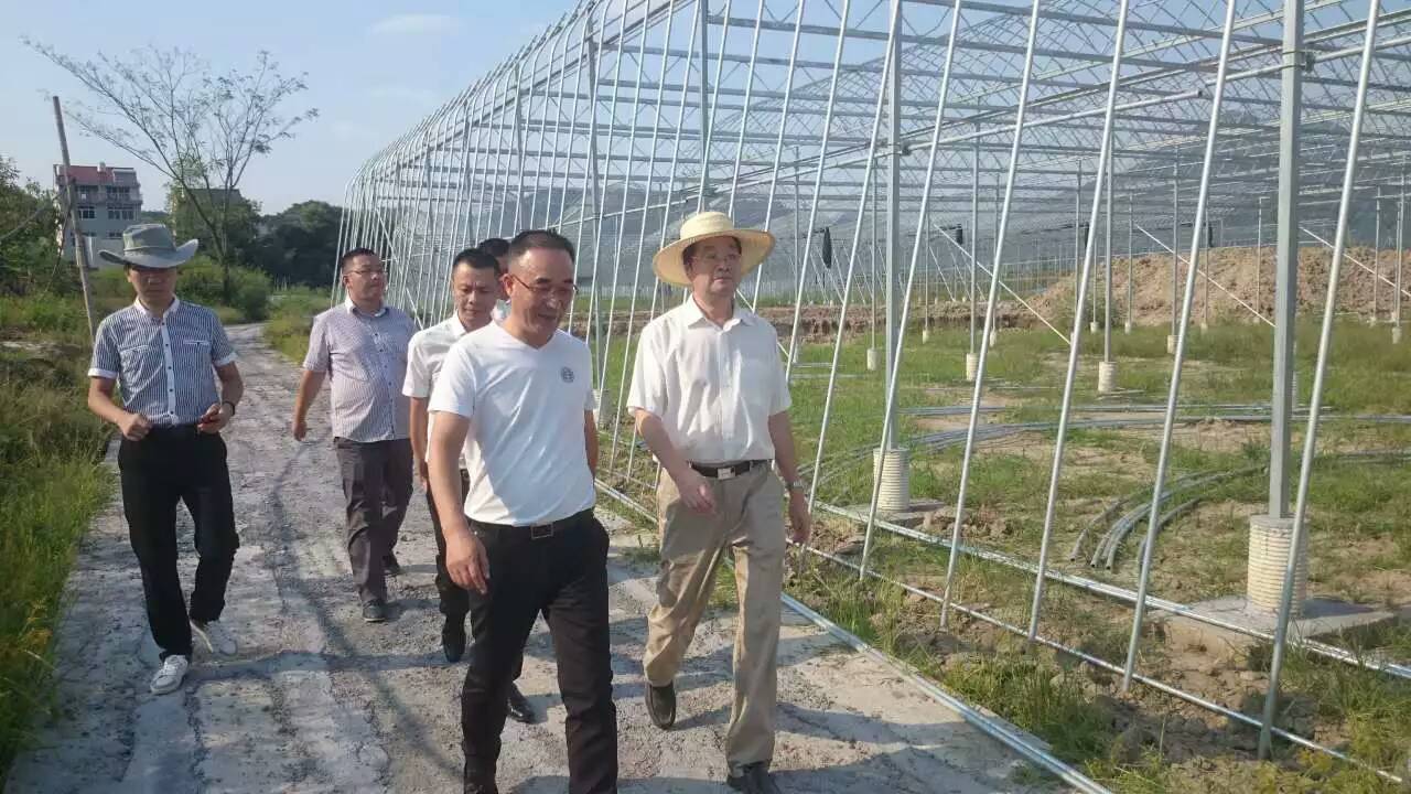 区委书记陈伟义对绿沃川二期工程提出多种宝贵建议