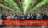 2019.1.15韩国中文研修班中小学生到绿沃川农场参加草莓季游园活动